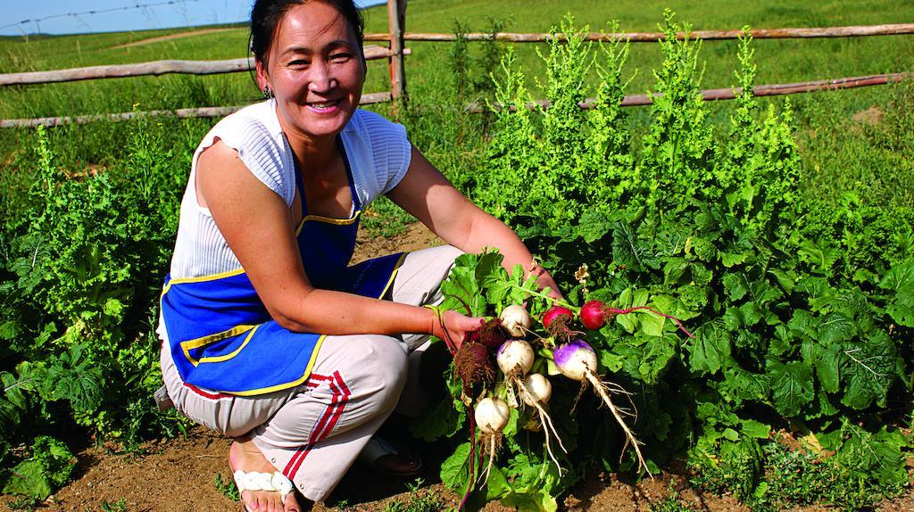 Steppe Nomads Eco Resort At Gungaluut Ulaanbaatar Ngoại thất bức ảnh