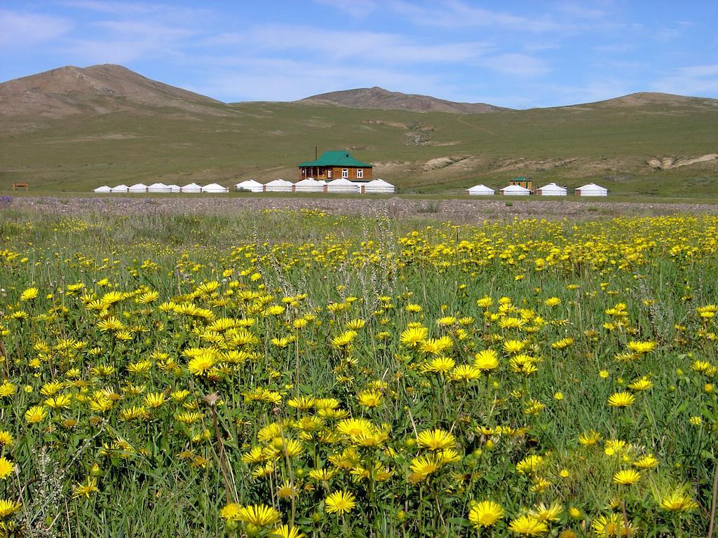 Steppe Nomads Eco Resort At Gungaluut Ulaanbaatar Ngoại thất bức ảnh
